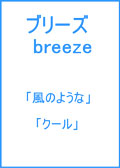 レンズカラー「アリアーテトレス」arriatetr3s　レンズカラーも激安通販価格